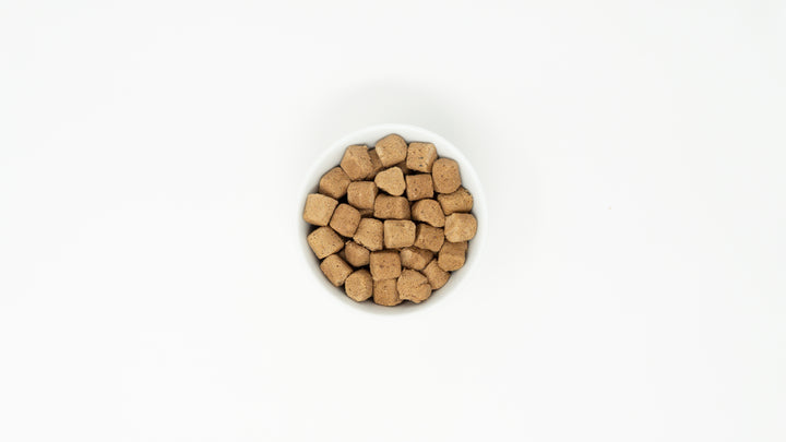 Freeze-Dried Puppy Beef and Salmon Meal Mixers - 3.5 oz