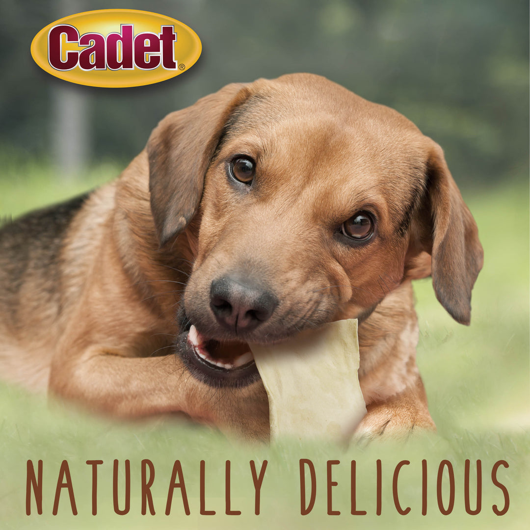 Cadet Premium Grade Beef Hide Chips for Dogs Natural 1 Pound (1 Count)