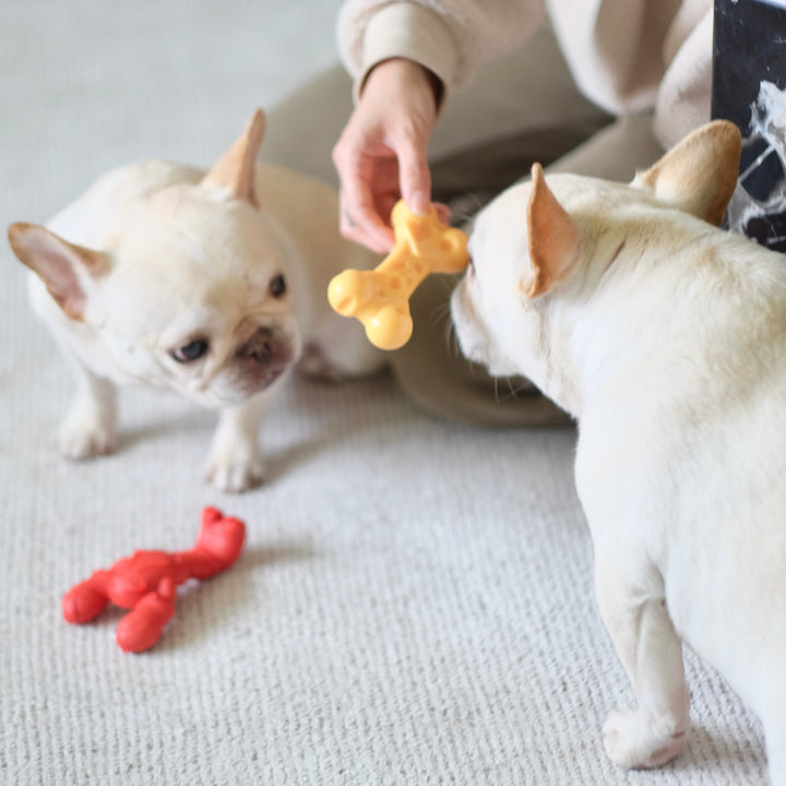 Nylabone Power Chew Lobster Dog Chew Toy Filet Mignon Small (1 Count)
