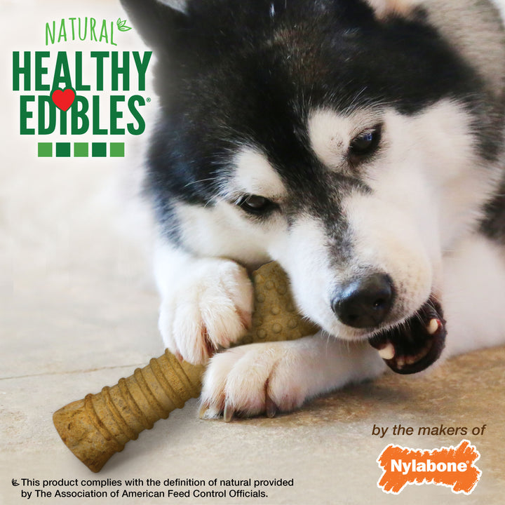 Nylabone Healthy Edibles All-Natural Long Lasting Chew Treats Peanut Butter X-Large (1 Count)