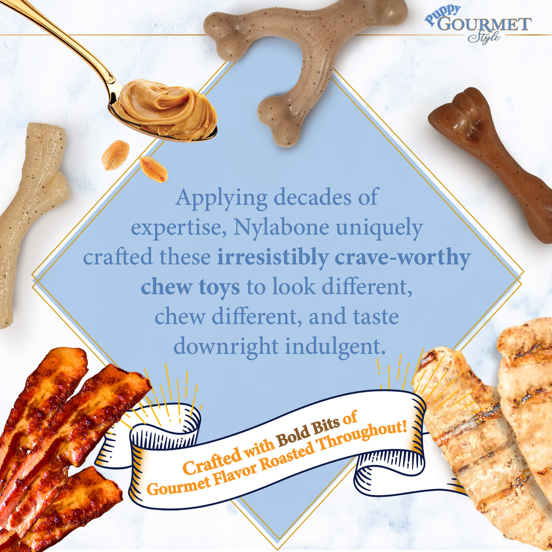Nylabone Strong Chew Gourmet Style Wishbone Puppy Chew Toy Peanut Butter Small (1 Count)