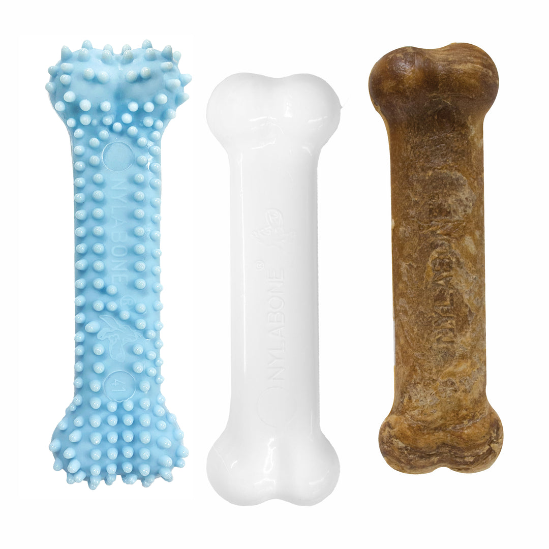 Nylabone Puppy Chew Starter Kit Chew Toy with Chew Treat Chicken &amp; Bacon Blue Small (3 Count)