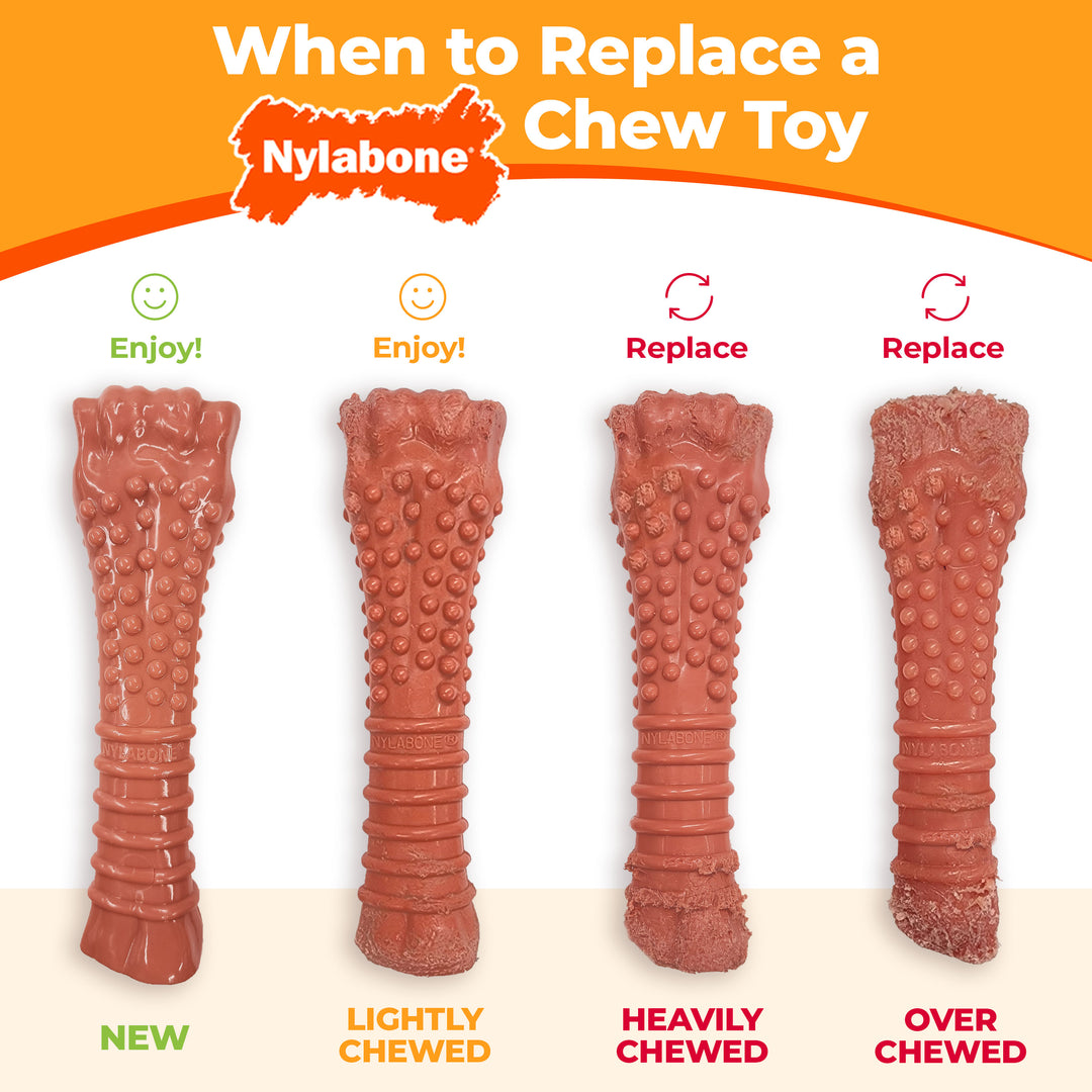 Nylabone Power Chew Dental Dinosaur Dog Chew Toy Chicken Large (1 Count)