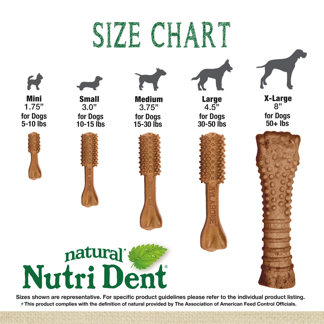 Nylabone Nutri Dent Filet Mignon Flavored Dental Dog Chew Treats X-Large (1 Count)