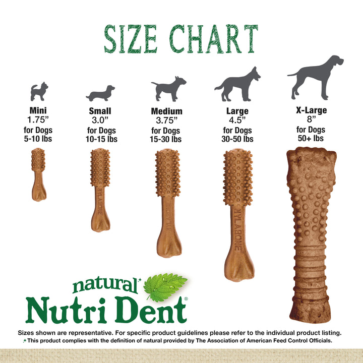 Nylabone Nutri Dent Filet Mignon Flavored Dental Dog Chew Treats X-Large (1 Count)