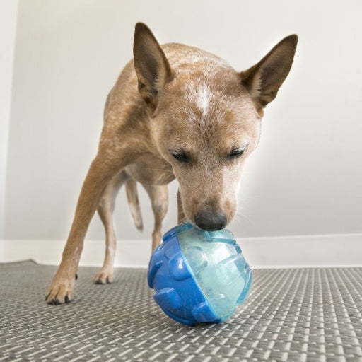 KONG Rewards Ball Dog Toy Large