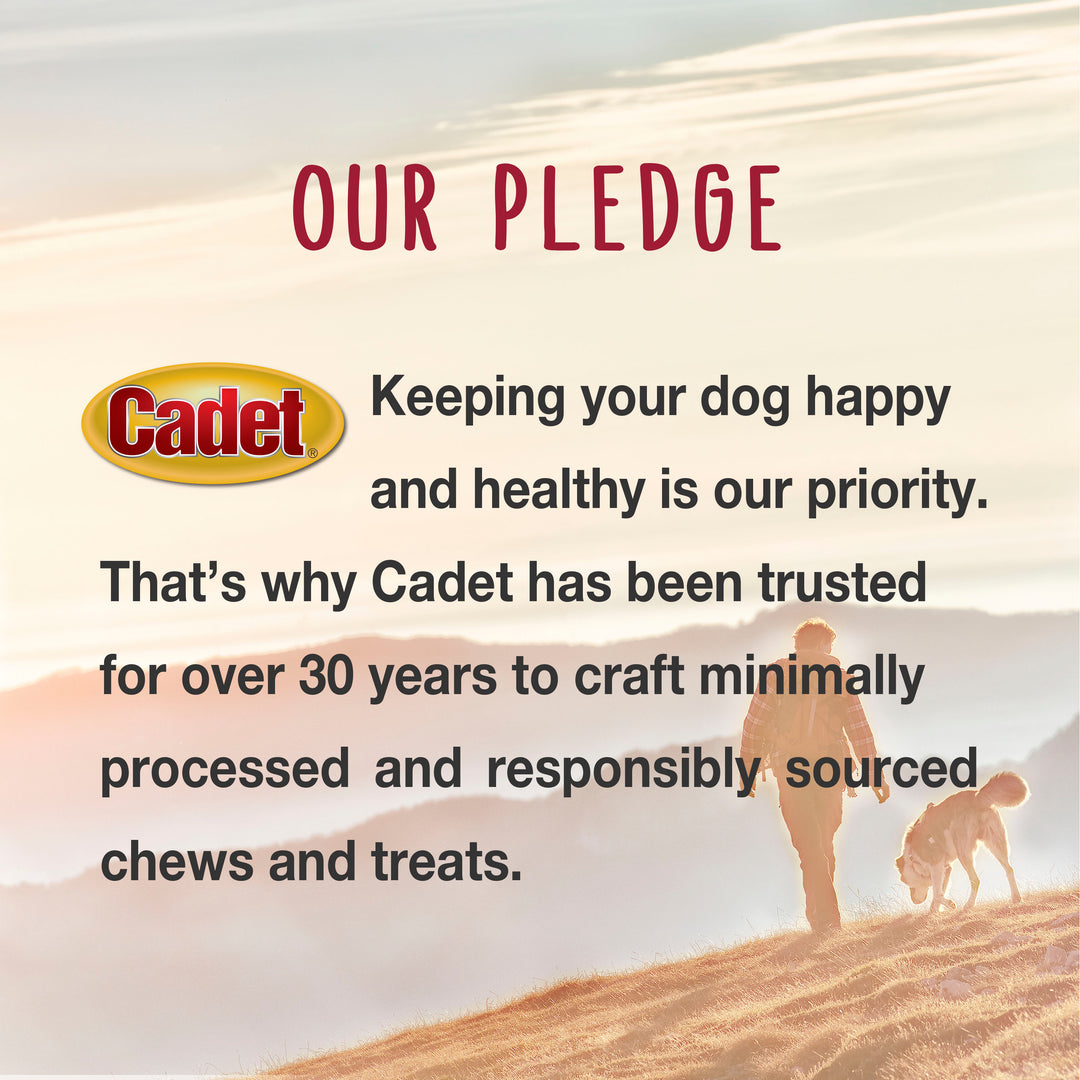 Cadet Gourmet Duck Breast Treats for Dogs 14 Ounce