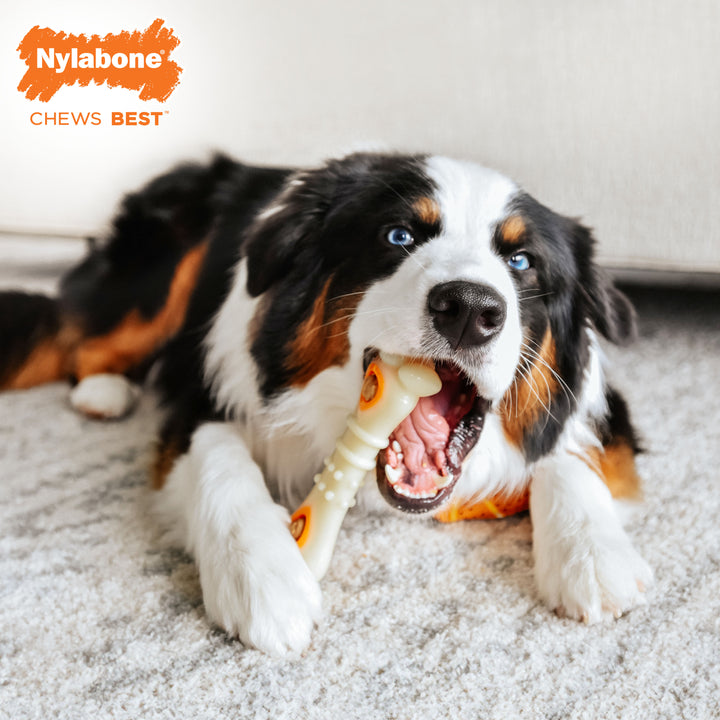 Nylabone All-Natural Pop-In Dog Treat Refills Chicken All Sizes (30 Count)