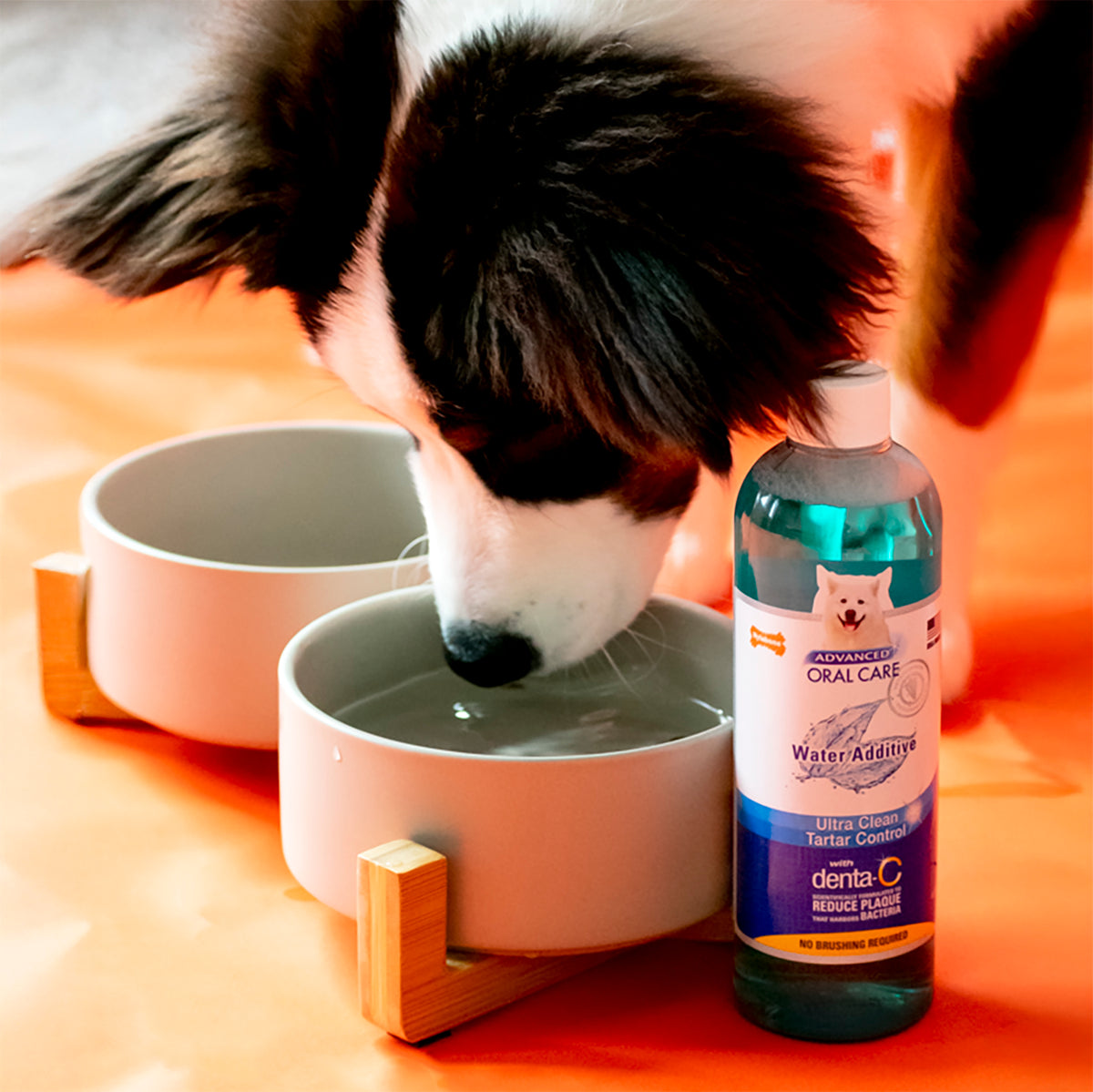 Nylabone Advanced Oral Care Water Additive for Dogs Original 16 Ounce (1 Count)