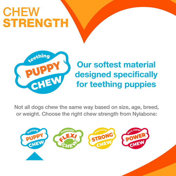 Nylabone Puppy Chew Comfort Hold X Bone Dog Chew Toy Beef X-Small (1 Count)