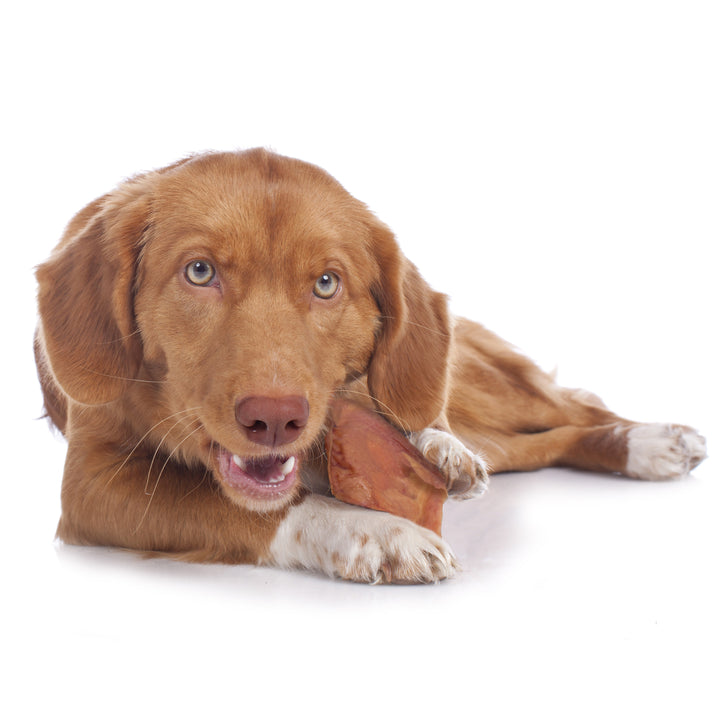 Cadet Natural Pig Ears for Dogs Original 1.3 Pound (25 Count)
