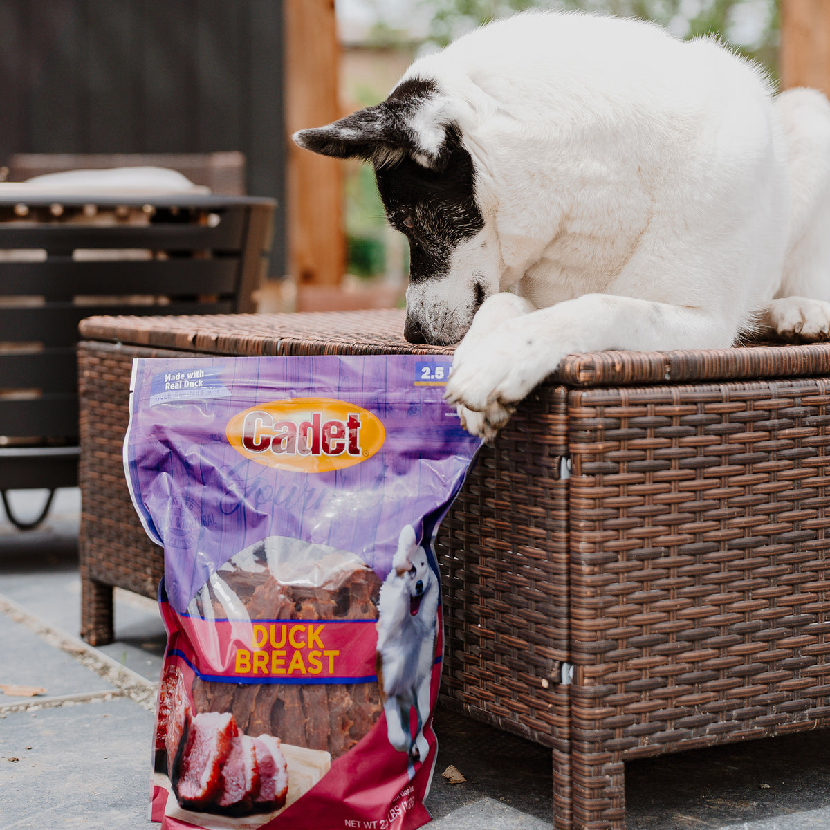 Cadet Gourmet Duck Breast Treats for Dogs 2.5 Pound