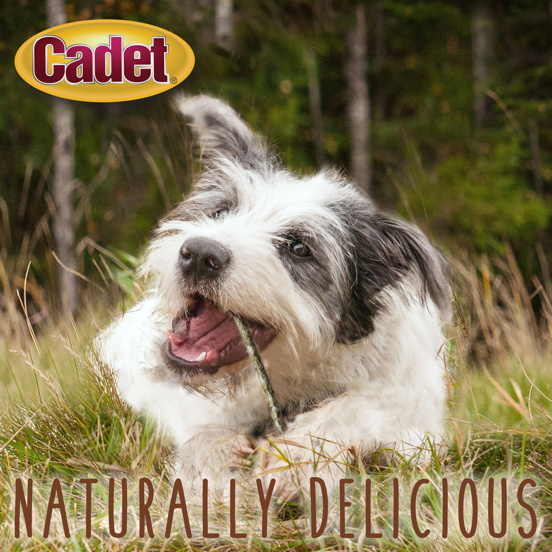 Cadet Premium Grade Munchy Beef Hide Sticks Peanut Butter 5 Inch (100 Count)