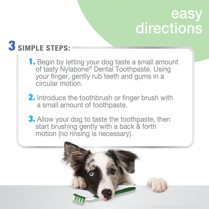 Nylabone Advanced Oral Care Natural Dog Dental Kit Peanut Butter 2.5 Ounce (3 Count)