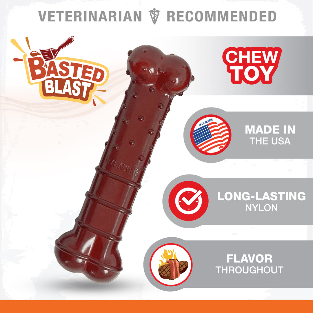 Nylabone Power Chew Basted Blast Textured Bone Dog Chew Toy Bacon &amp; Steak Medium (1 Count)