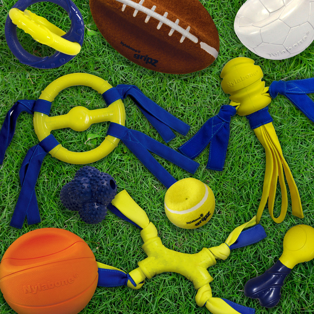 Nylabone Power Play Gripz Dog Soccer Ball Toy Medium (1 Count)