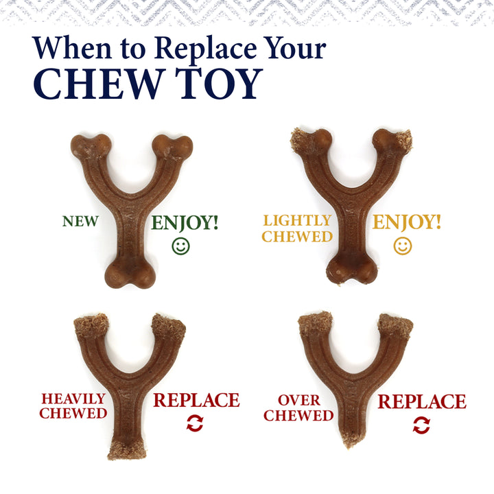 Nylabone Strong Chew Gourmet Style Knuckle Bone Dog Chew Toy Souper Filet Mignon X-Large (1 Count)