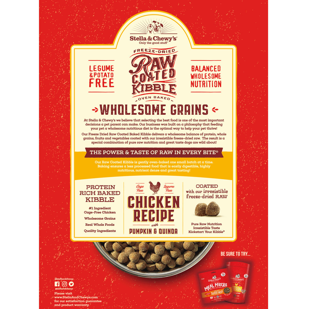 Kibble Raw Coated Wholesome Grain Chicken - 22 lb