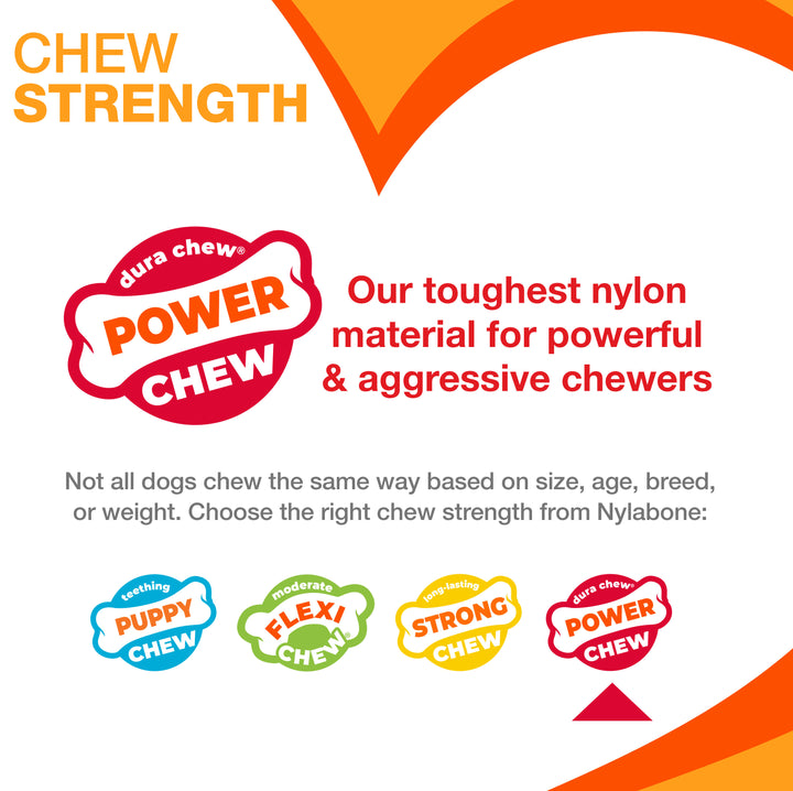 Nylabone Power Chew Original Wishbone Dog Chew Toy Medium (1 Count)