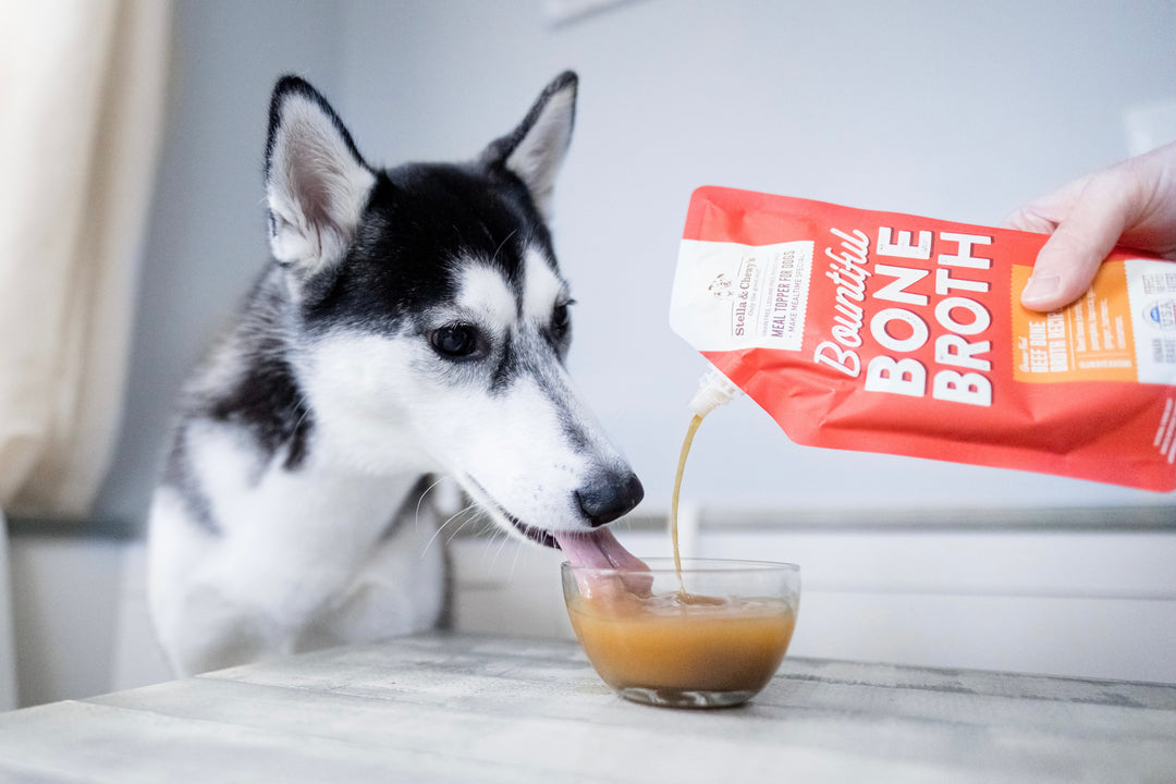 Bountiful Bone Broth Beef - 16 oz