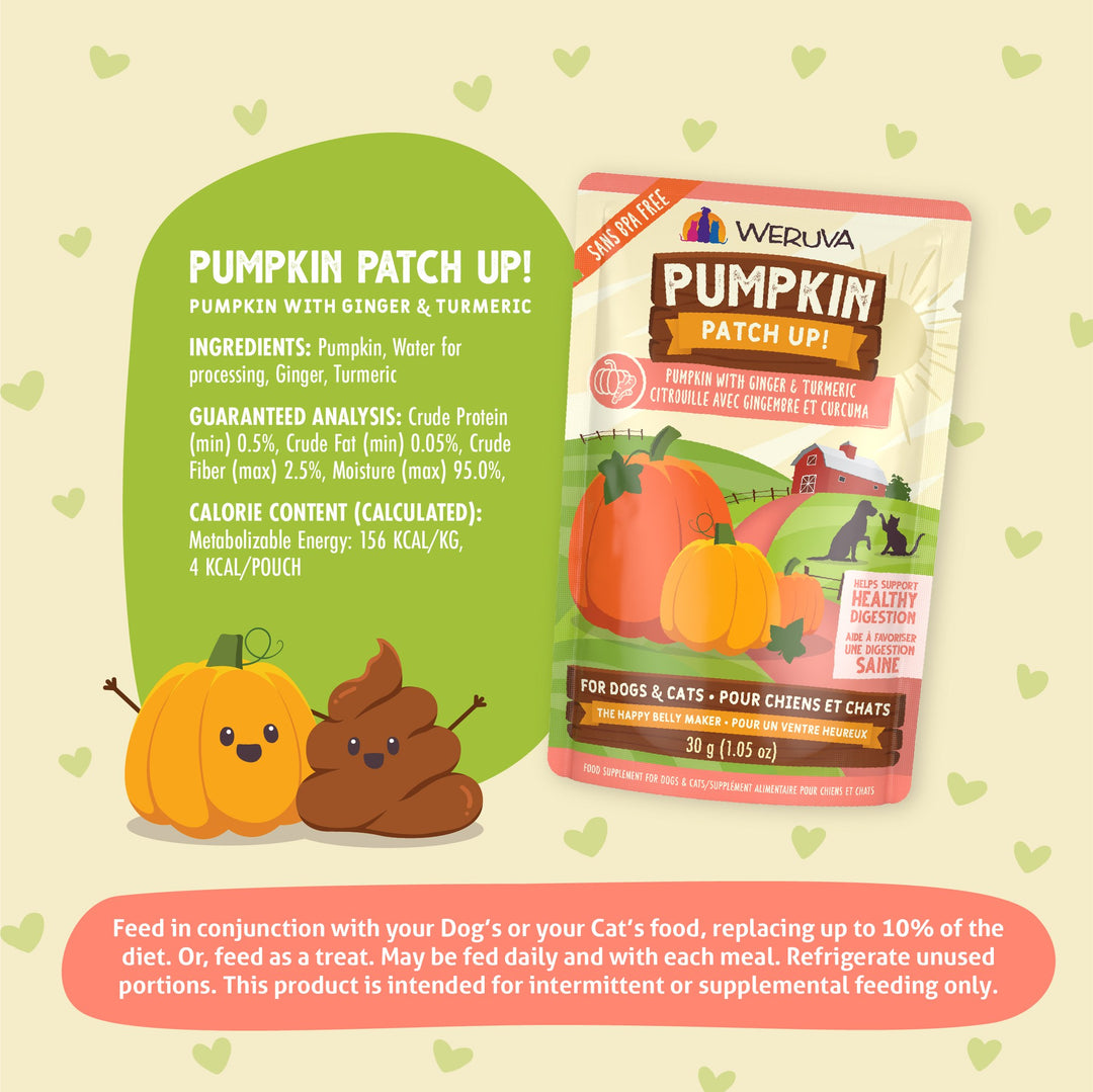 Weruva Pumpkin Patch Up Ginger Tumeric