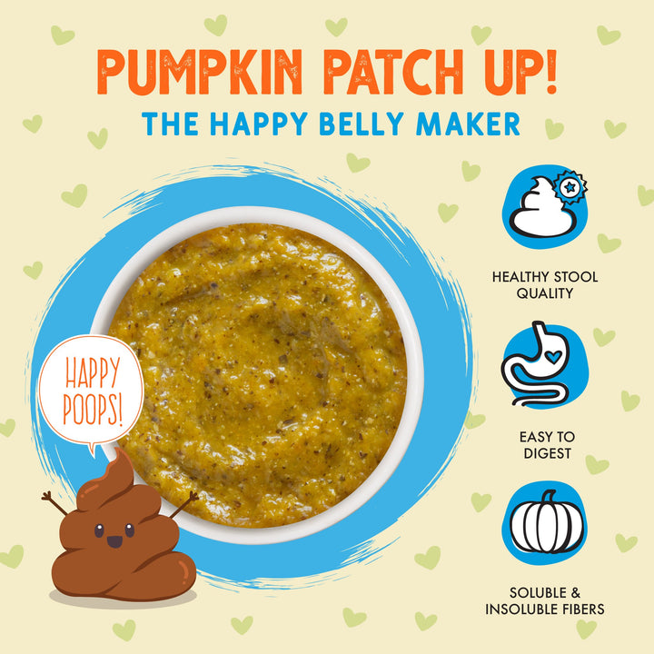 Weruva Pumpkin Patch Up Pumpkin with Coconut Oil Flaxseeds Pouch