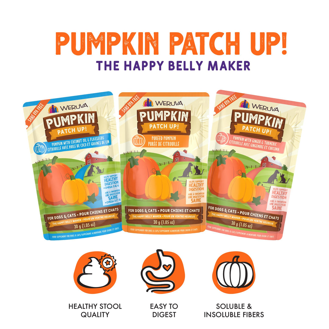 Weruva Pumpkin Patch Up Variety Pack
