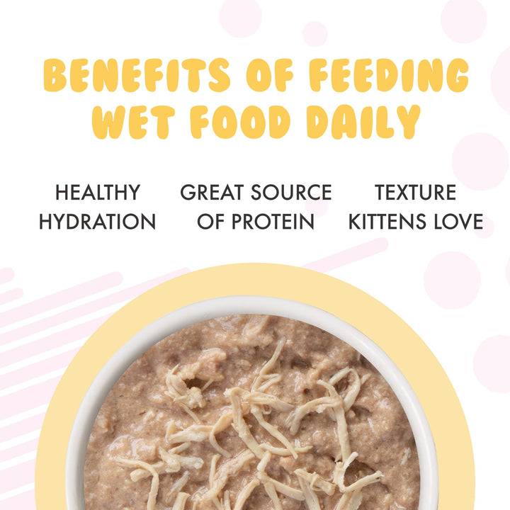 Weruva Cat Can Kitten Chicken Au Jus Gravy 3 oz