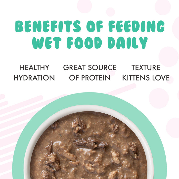 Weruva Cat Can Kitten Chicken Tuna Gravy 3 oz