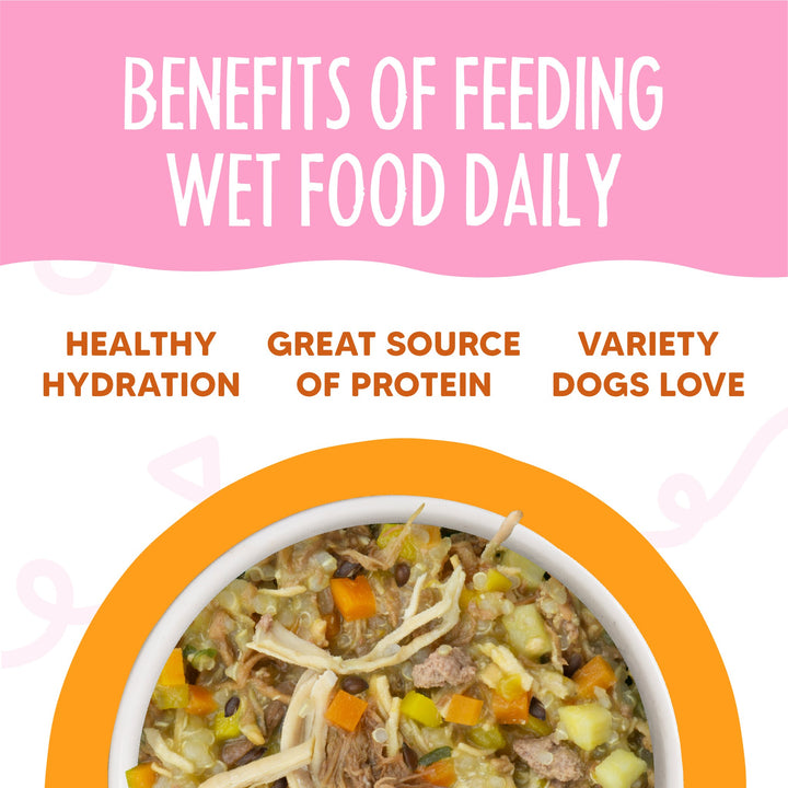Weruva Dog Wet Meals More Wok the Dog 3.5 oz