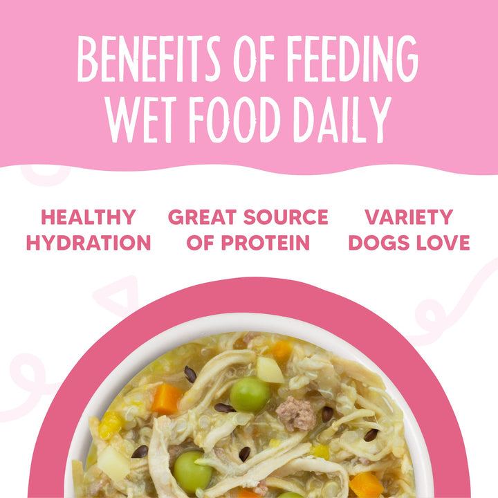 Weruva Meals More Dog Food Belly Belly Value Pack