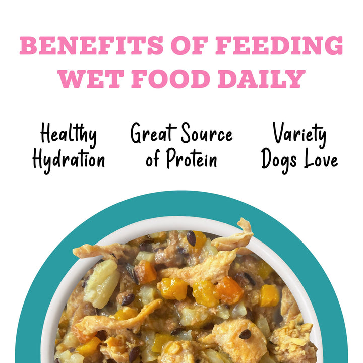 Weruva Dog Can Awesome Belly Chicken Veggie 6 oz