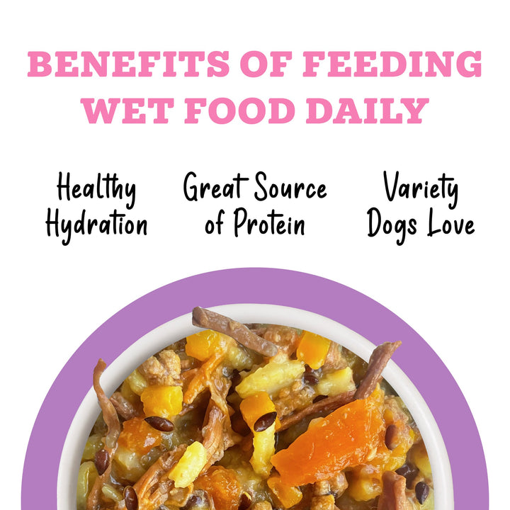 Weruva Awesome Functions Belly Beef Rice Can Dog 14 oz