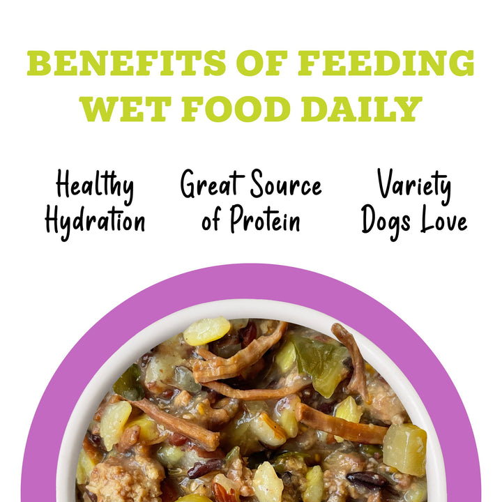 Weruva Awesome Functions Bouncy Beef Rice Can Dog 14 oz