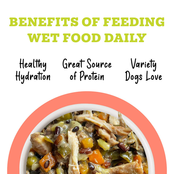 Weruva Awesome Functions Bouncy Chicken Veggies Can Dog 14 oz