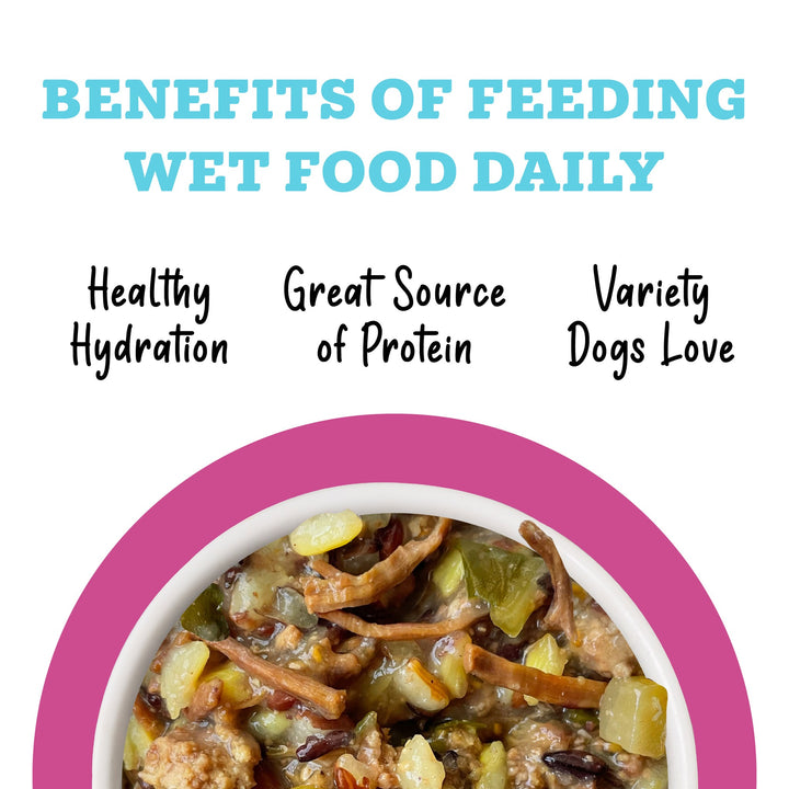 Weruva Awesome Functions Shiny Beef Rice Can Dog 14 oz