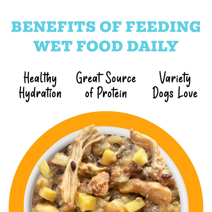 Weruva Awesome Functions Shiny Chicken Rice Can Dog 14 oz