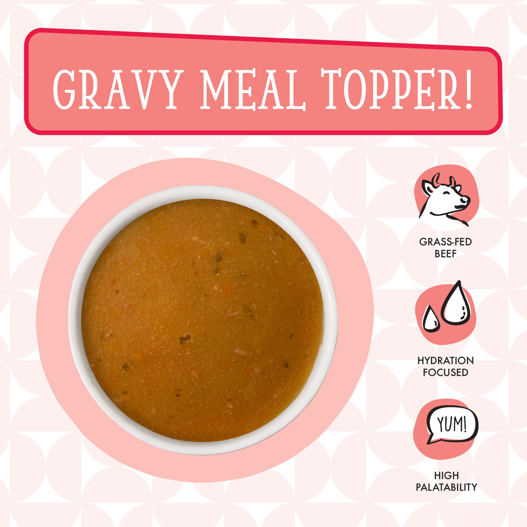 Weruva Dog Wet DITK Pantry Pours Beef Pumpkin Gravy 7 oz