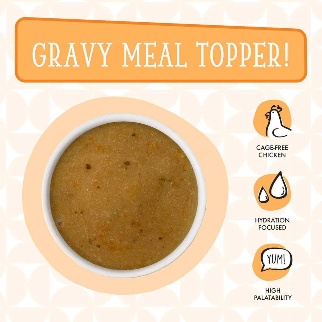 Weruva Dog Wet DITK Pantry Pours Chicken Pumpkin Gravy 7 oz