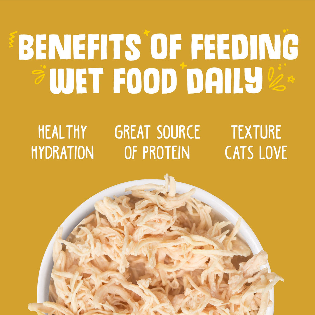 Weruva Cat Can GF Classic Paw Lickin Chicken 3 oz