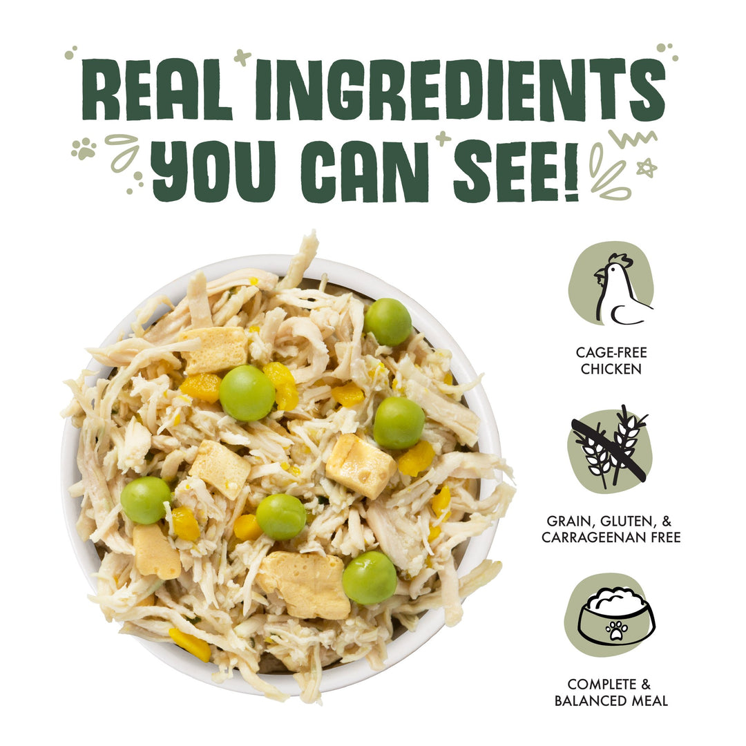 Weruva Classic Dog Green Eggs Chicken Breast Pumpkin in Gravy 14 oz