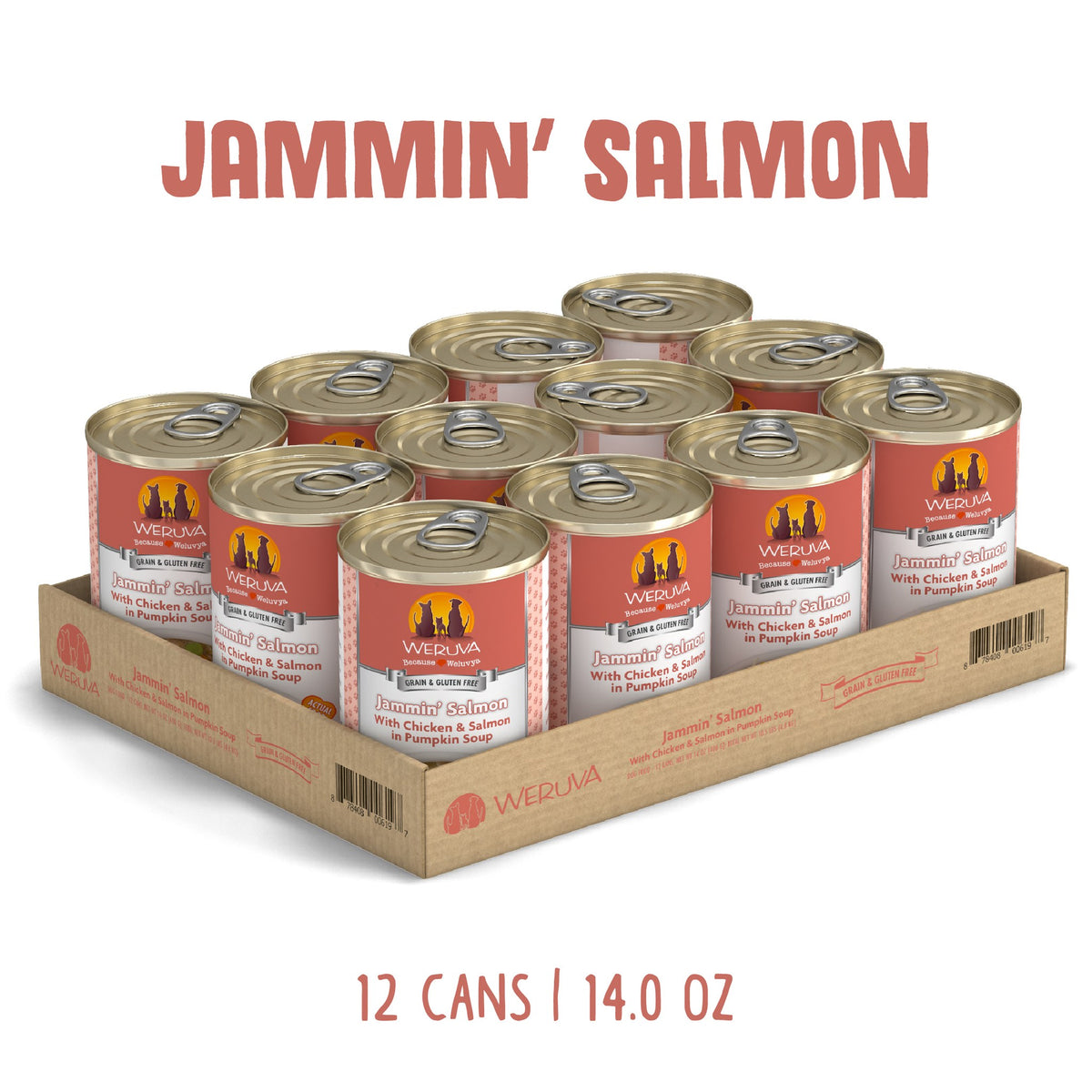 Weruva Classic Jammin Salmon with Chicken Salmon in Gravy14oz
