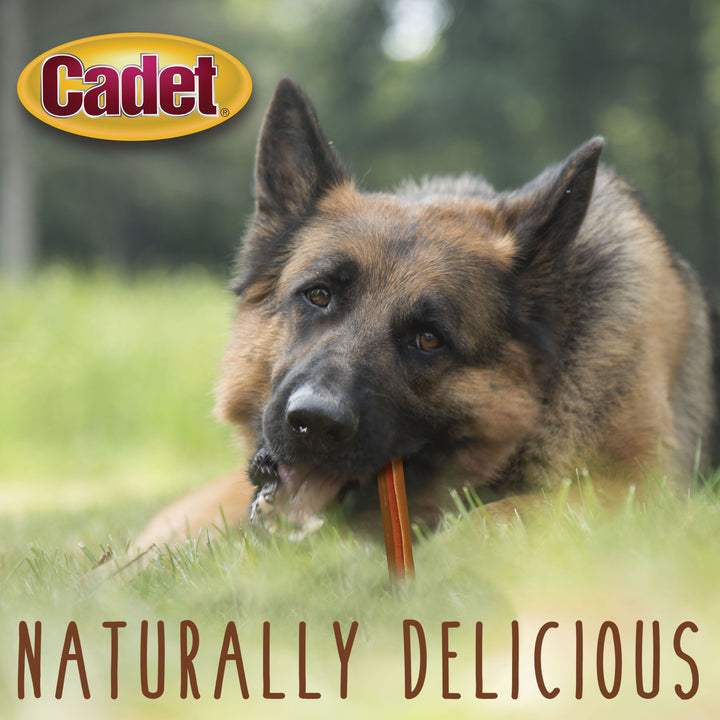 Cadet Choice Chews No Rawhide Dog Chew Sticks Peanut Butter 7 Ounce (10 Count)