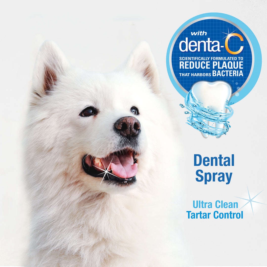 Nylabone Advanced Oral Care Dental Spray Fresh Breath 4 Ounce (1 Count)