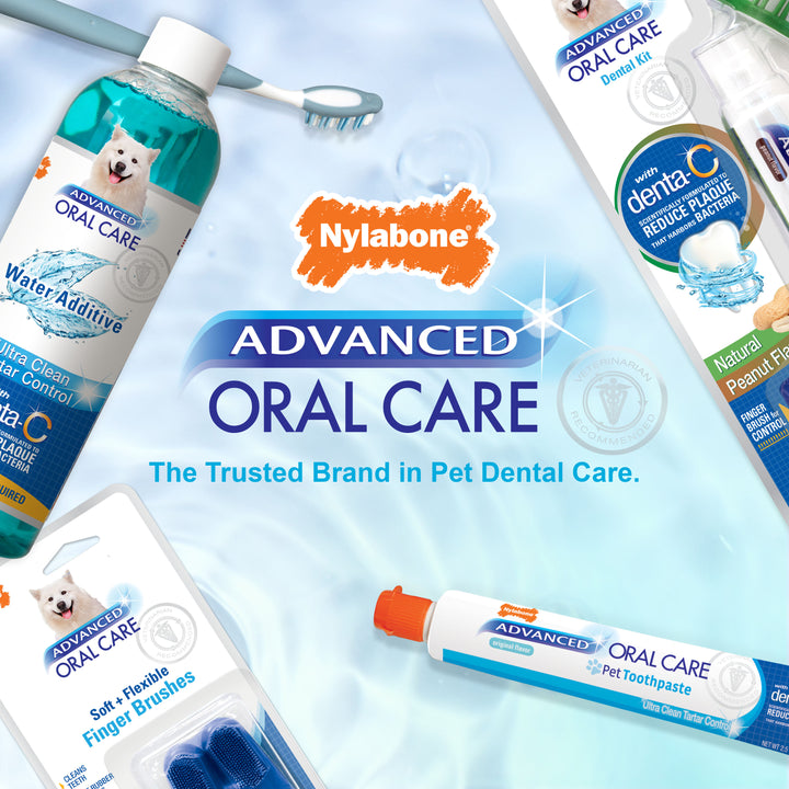 Nylabone Advanced Oral Care Dental Spray Fresh Breath 4 Ounce (1 Count)