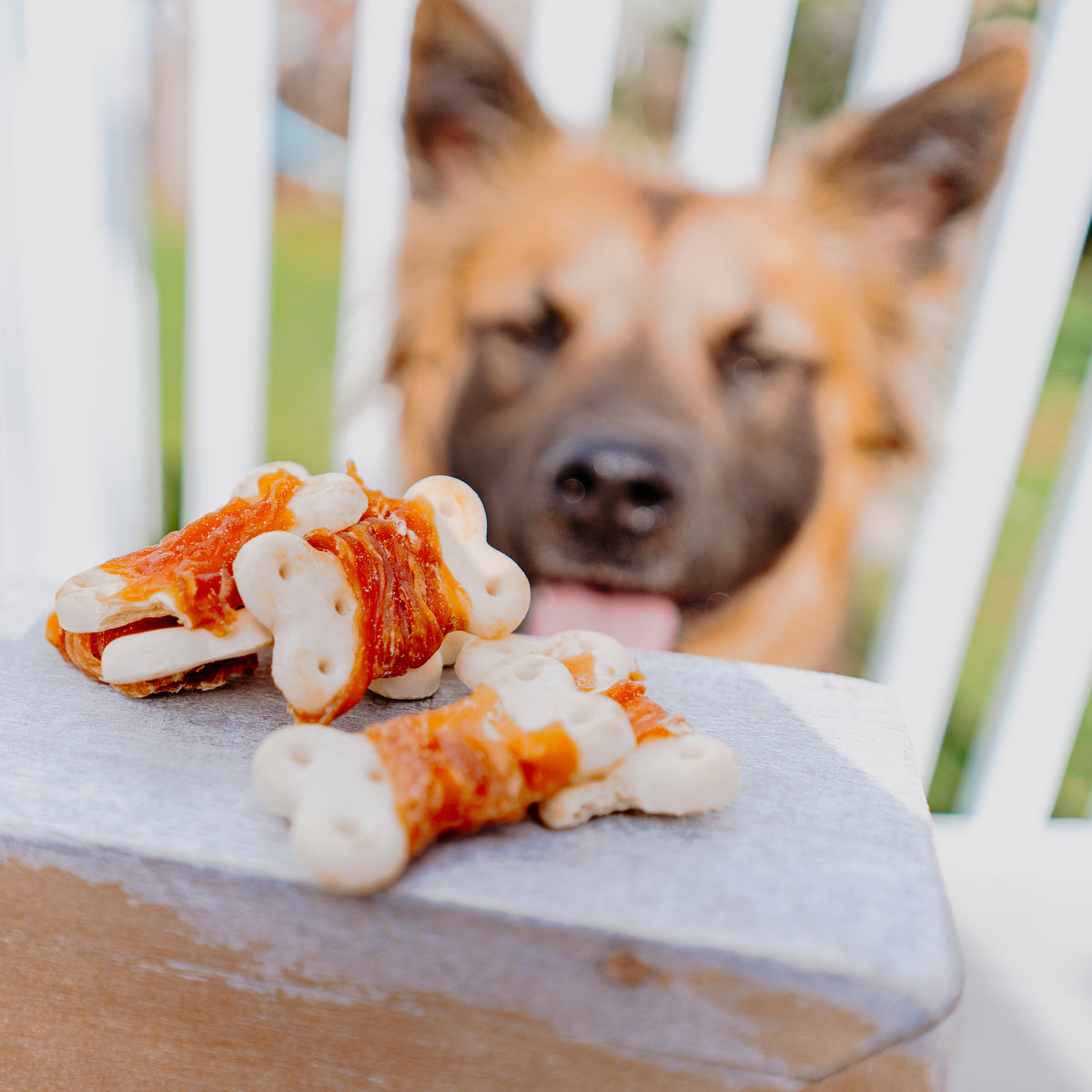 Cadet Gourmet Chicken Wrapped Biscuit Dog Treats 14 Ounce
