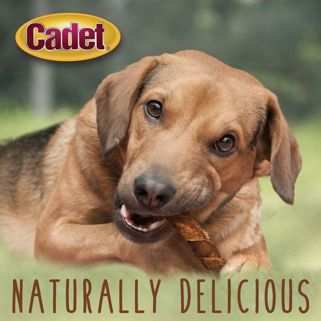 Cadet Gourmet Triple Chews Pork Hide Twists Chicken &amp; Sweet Potato (6 Count)