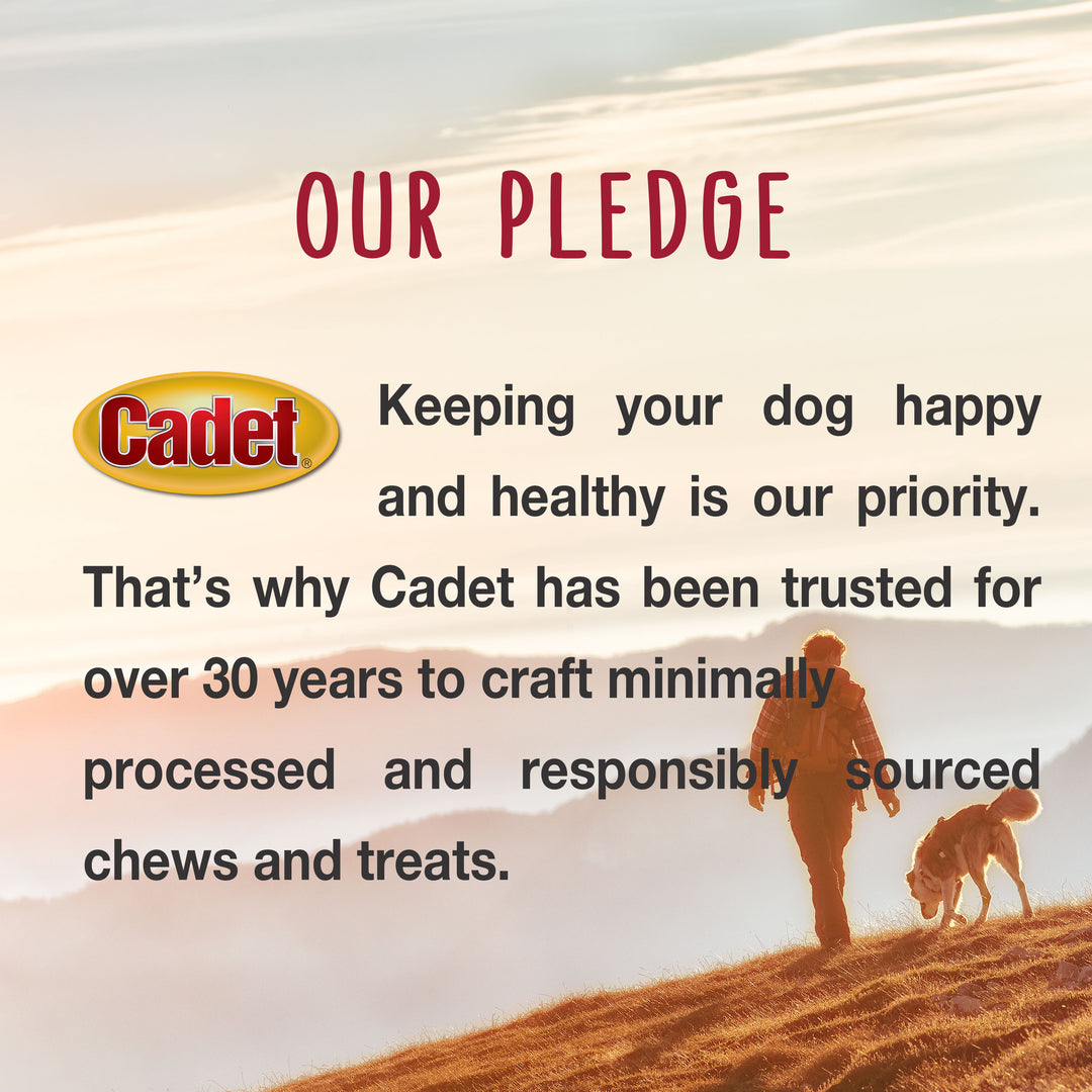 Cadet Choice Chews No Rawhide Dog Chew Sticks Peanut Butter 7 Ounce (10 Count)