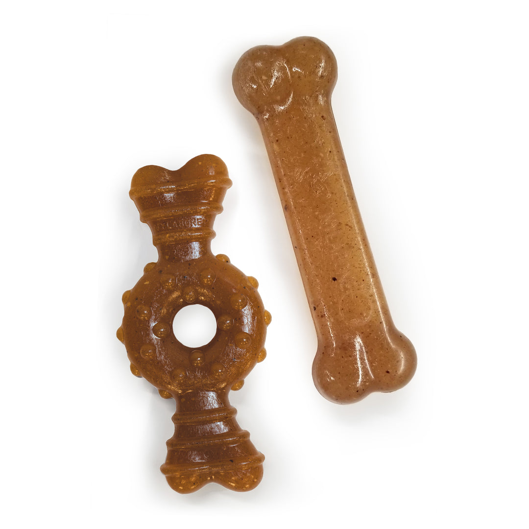Nylabone Puppy Chew Teething Bone &amp; Ring Bone Chew Toy Chicken Medium (2 Count)