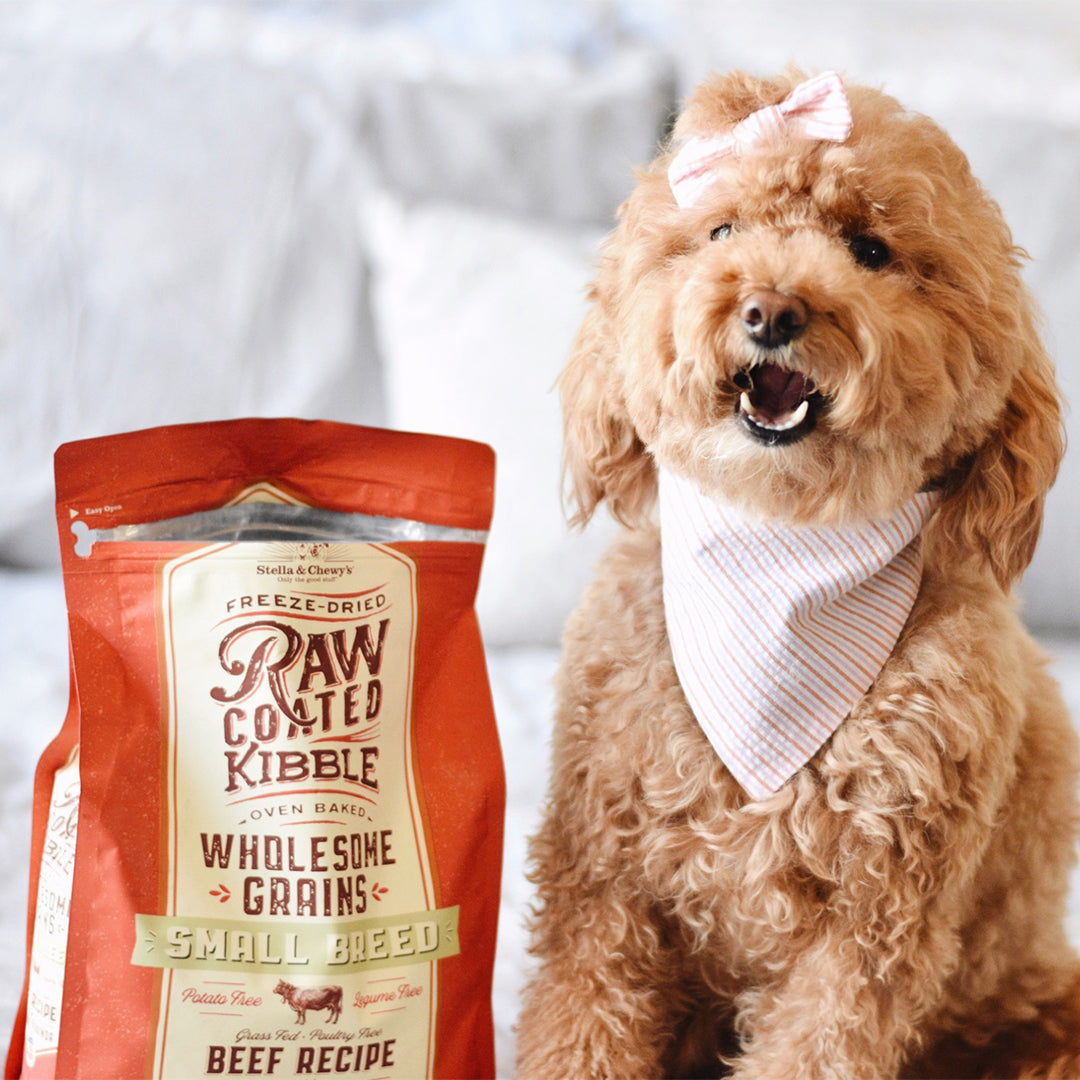 Kibble Raw Coated Wholesome Grain Beef Small Breed - 10 lb